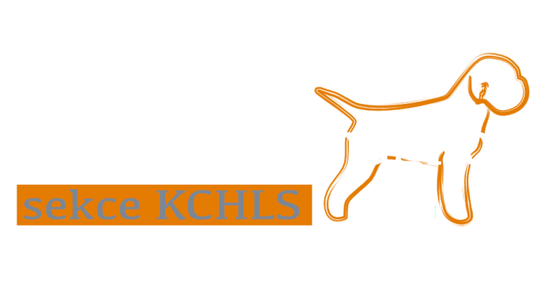 Lagotto Romagnolo